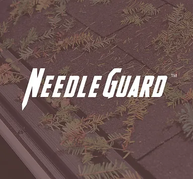 Needle Guard
